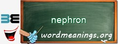 WordMeaning blackboard for nephron